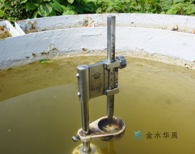 65a0e60975494.jpg 1.jpg